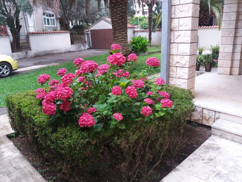 Bravo Apartmani Budva Exteriér fotografie